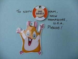 Nott (ING) ham (DIRECT) hamster 