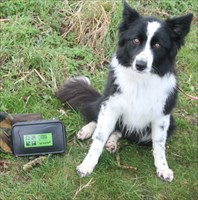 Bramble with Her first cache