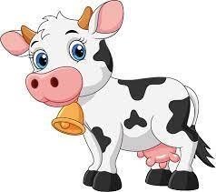 Bella the cow