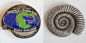 Ammonite Series - Early Jurassic