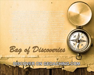 Bag of Discoveries