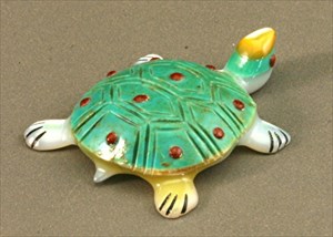 Turtle01