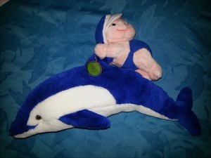 Blue Dolphin et Mini hp