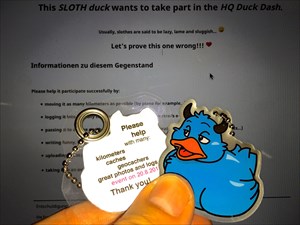 kinderarzt&#39;s SLOTH duck