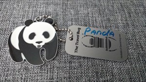 The Panda TB