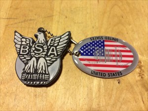 The BSA Eagle