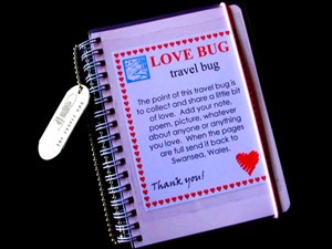 Love Bug Travel Bug