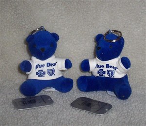 Blue Bear Brothers