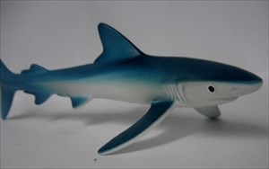 Bruce the Blue Shark