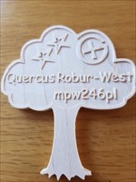 Quercus Robur - West Top Cache Coin