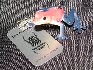 Q1 Leapfrog TB - Red-Blue Poison Dart Frog