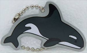 Orca front