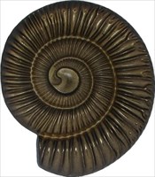Ammonite Geocoin - Early Jurassic