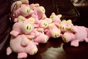 pink porcine pile