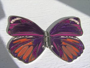 Butterfly2010