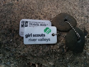 Girl_Scouts_Rocks_TB