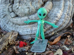 Numer 2 of 3 Roswell Aliens