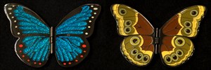 Morpho Butterfly Blue Glitter