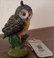 Sova od studanky / Owl from spring