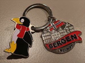 TB 90 - Pinguin in Bergen