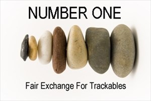 Fair Exchange1-1