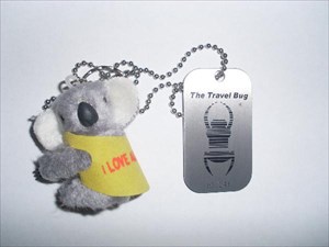 TB Honeymoon Koala