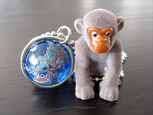 Travel home little monkey