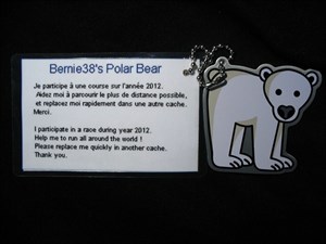 Bernie38&#39;s Polar Bear