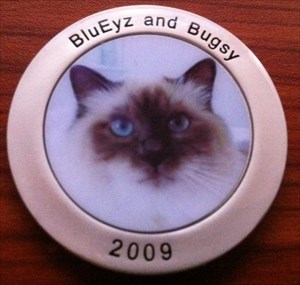BluEyz and Bugsy Front