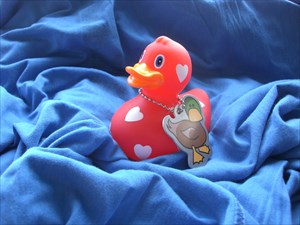 Herzchen Ente - Sweetheart Duck