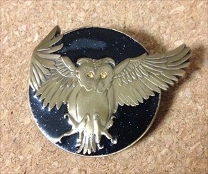 Olanda The Owl Frontsite~Nightrider007