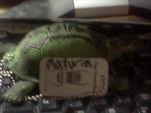 Maturin the turtle