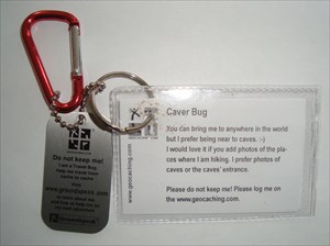 Caver Bug