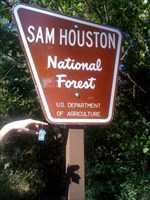 Tommy Tee Visits the Sam Houston National Forest