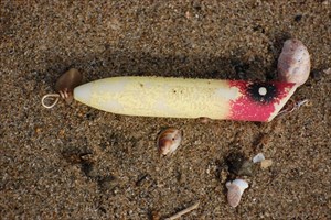 beached lure