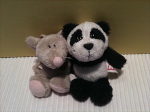 Mini M. and Little Panda at home