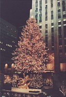 The Rockefeller Center Christmas Tree 