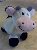 Dutch Little Cow -- ready to make new friends !