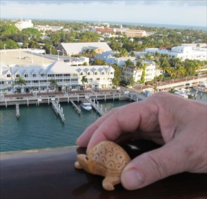 Key West Turtle on ship docked @ Key West, Florida