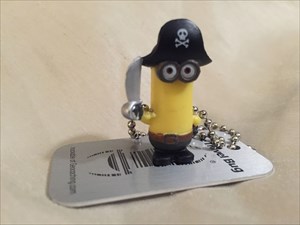 The pirate minion