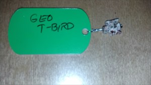 geo t-bird