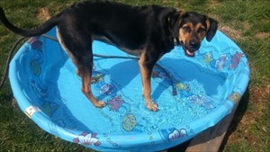 Love playing in my pool!