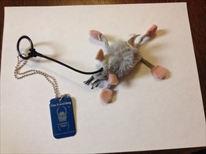 Church Mouse based at &quot;Faith Works&quot; Moline IL USA