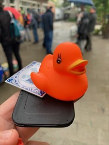 Travel Duck