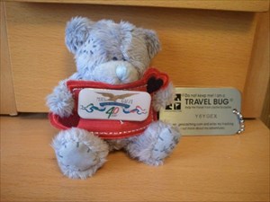 Moto Guzzi bear Travelbug