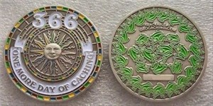 leap year coin