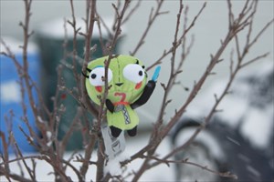GIR is cold