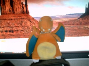 charizard is here in the desert