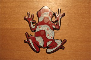 Leap Year 2016 Poison Dart Frog Geocoin Red 1