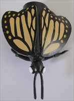 Lake Erie Bonus Butterfly